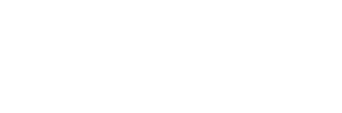 logo light
